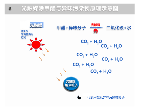 QQ圖片20190816211621.png